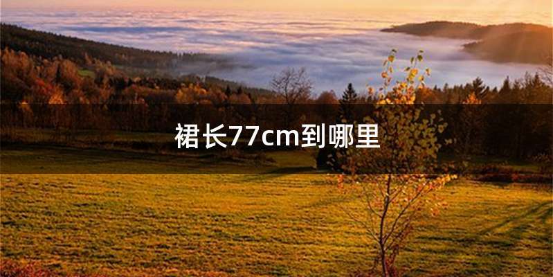 裙长77cm到哪里