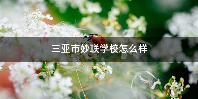 三亚市妙联学校怎么样