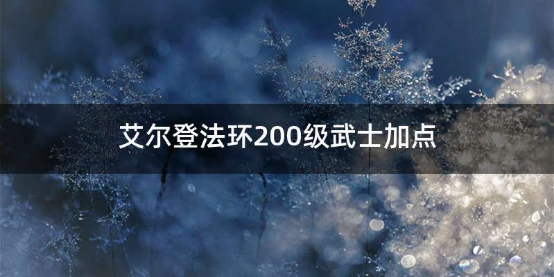 艾尔登法环200级武士加点