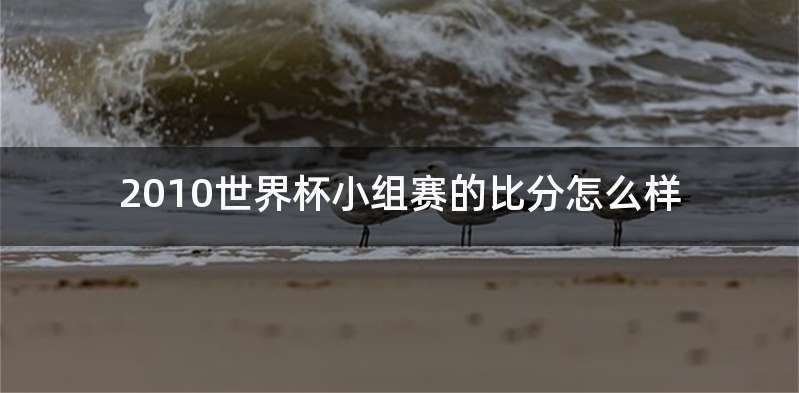 2010世界杯小组赛的比分怎么样