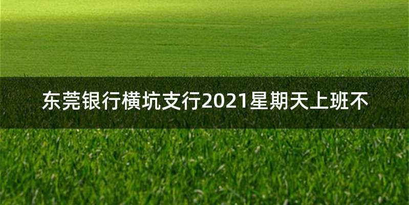 东莞银行横坑支行2021星期天上班不