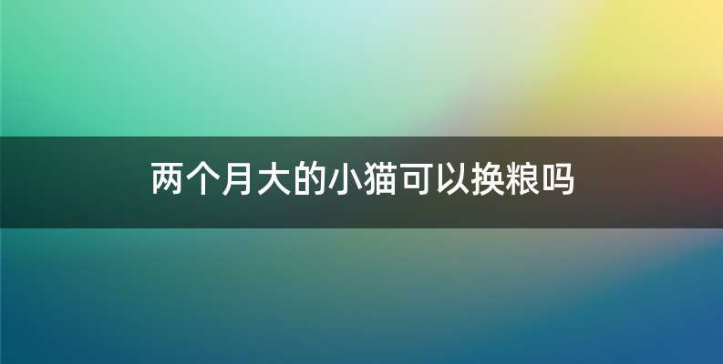 两个月大的小猫可以换粮吗