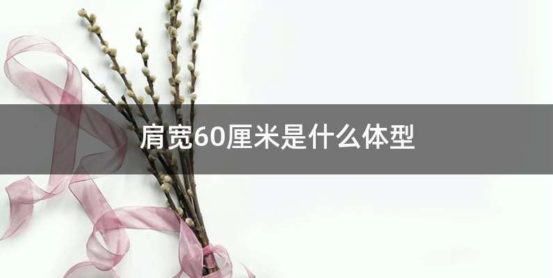 肩宽60厘米是什么体型