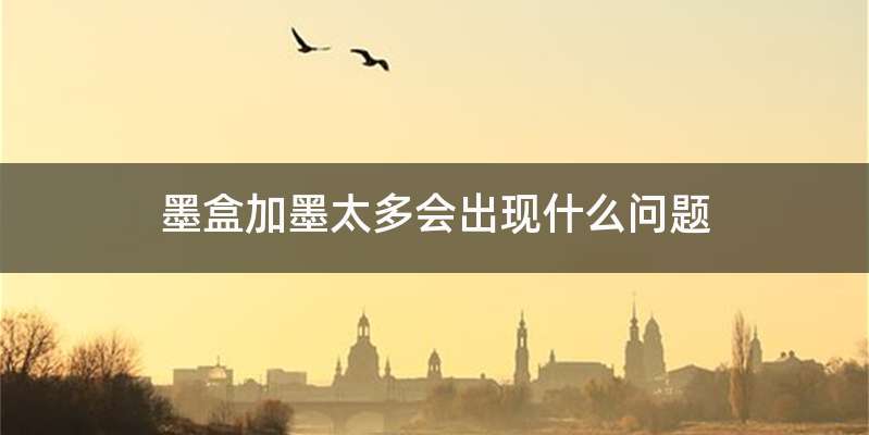 墨盒加墨太多会出现什么问题