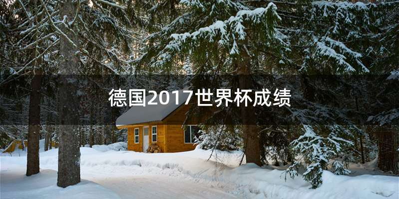 德国2017世界杯成绩