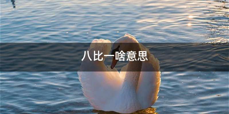 八比一啥意思