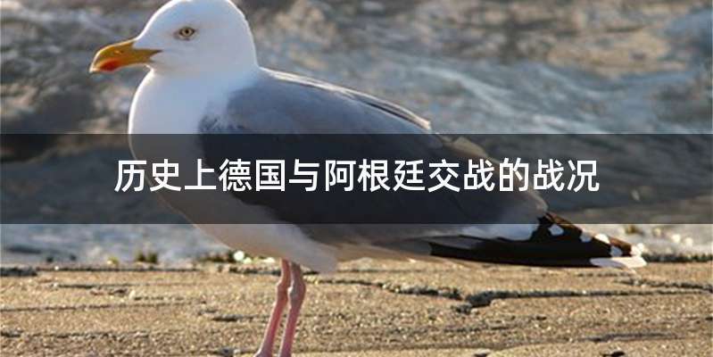 历史上德国与阿根廷交战的战况