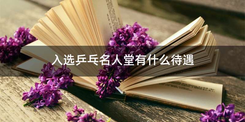 入选乒乓名人堂有什么待遇