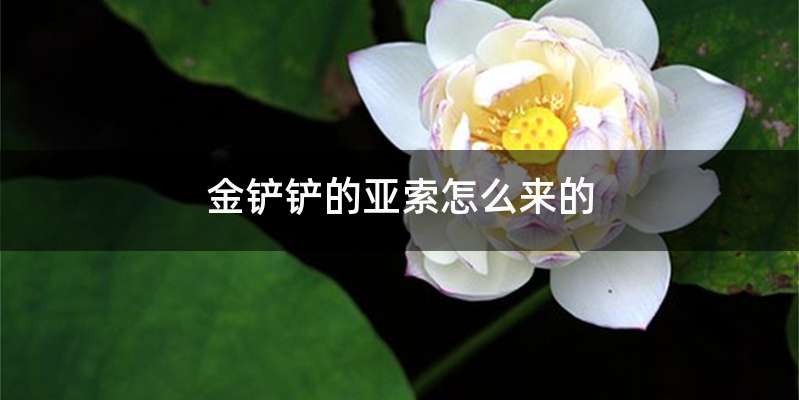 金铲铲的亚索怎么来的