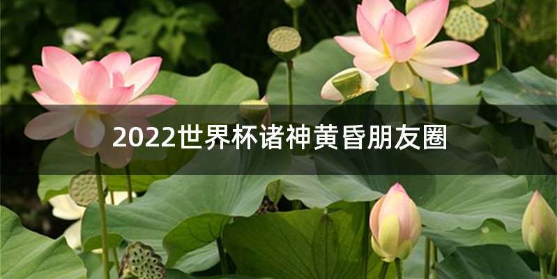 2022世界杯诸神黄昏朋友圈