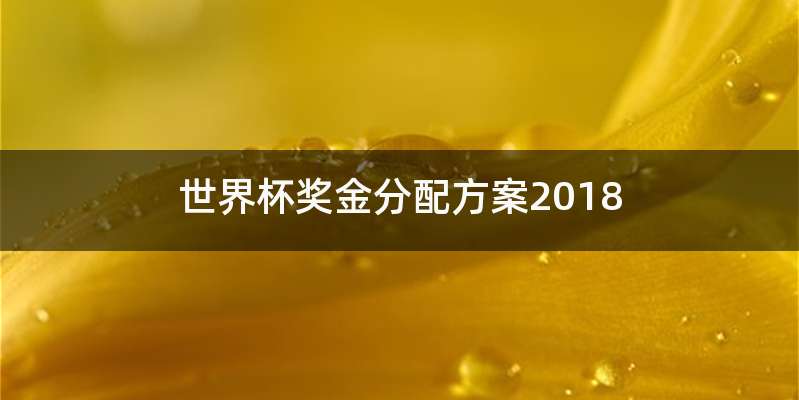 世界杯奖金分配方案2018