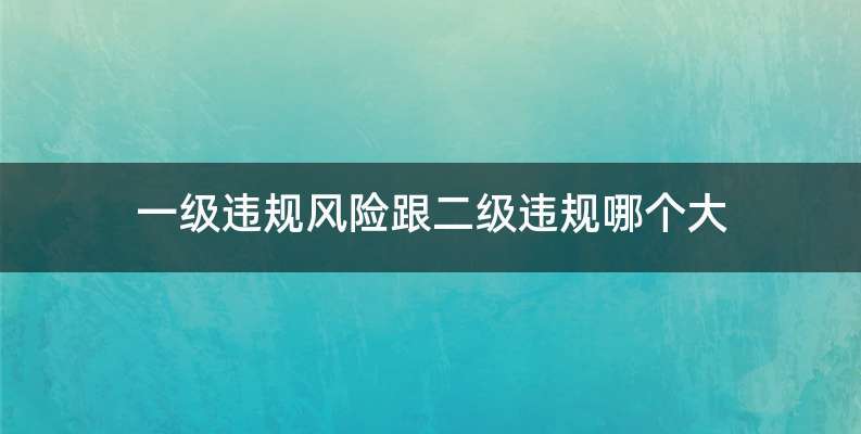 一级违规风险跟二级违规哪个大