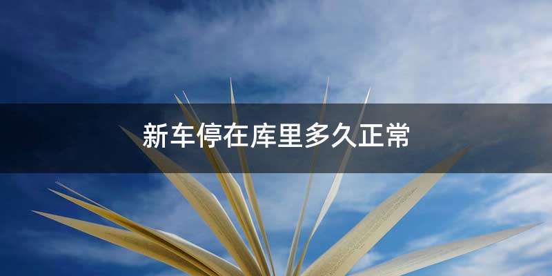 新车停在库里多久正常
