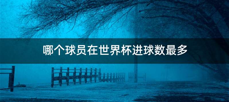 哪个球员在世界杯进球数最多