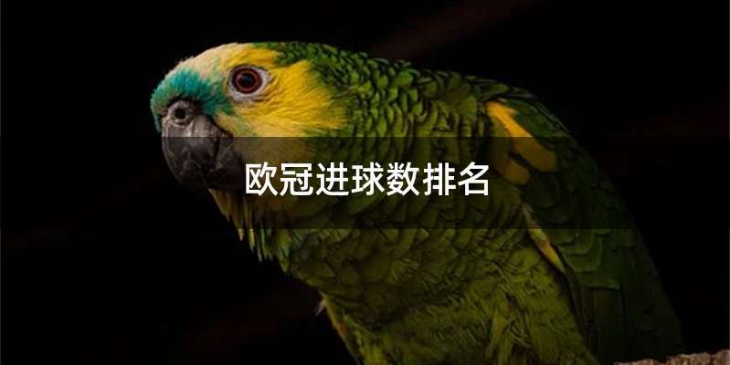 欧冠进球数排名