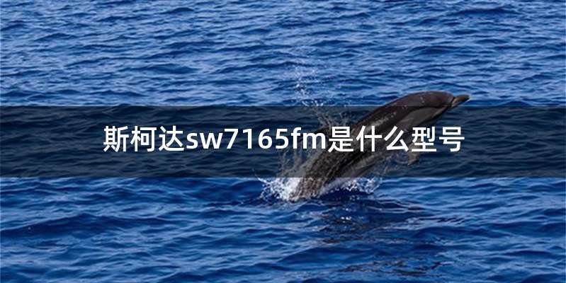 斯柯达sw7165fm是什么型号