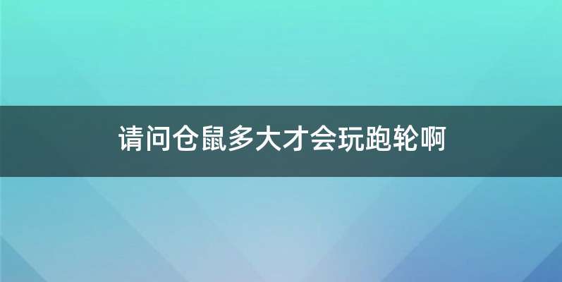 请问仓鼠多大才会玩跑轮啊