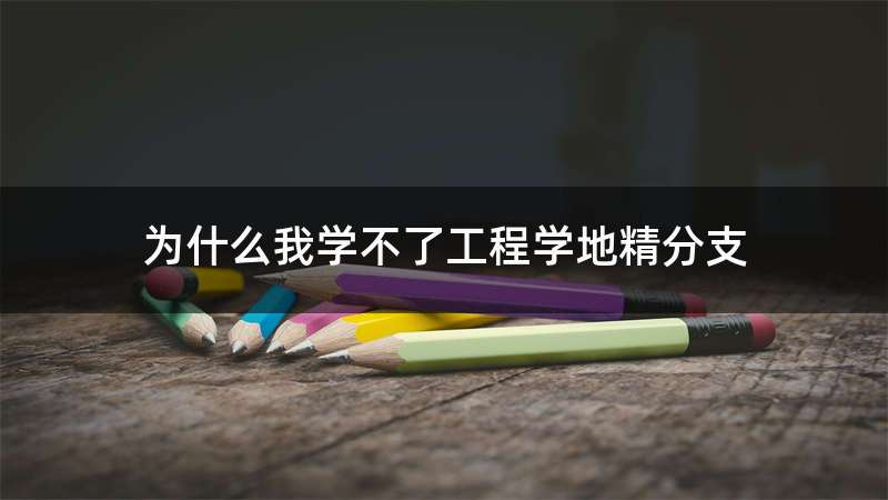 为什么我学不了工程学地精分支