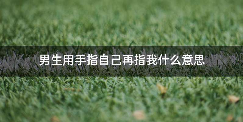 男生用手指自己再指我什么意思