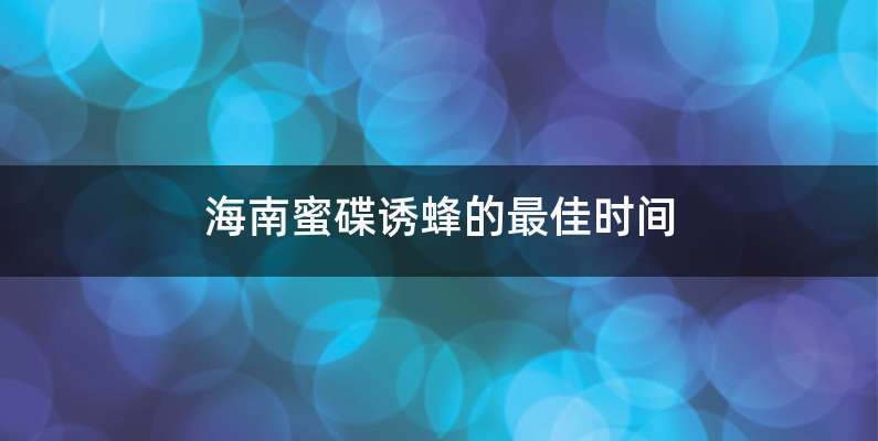 海南蜜碟诱蜂的最佳时间