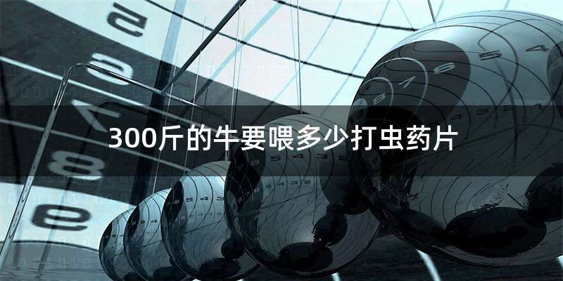 300斤的牛要喂多少打虫药片