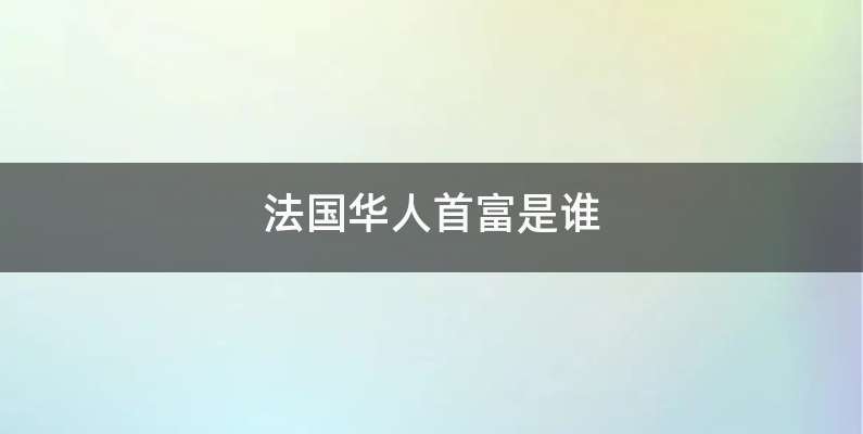 法国华人首富是谁