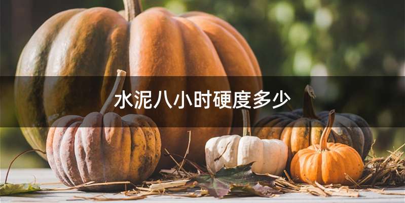 水泥八小时硬度多少