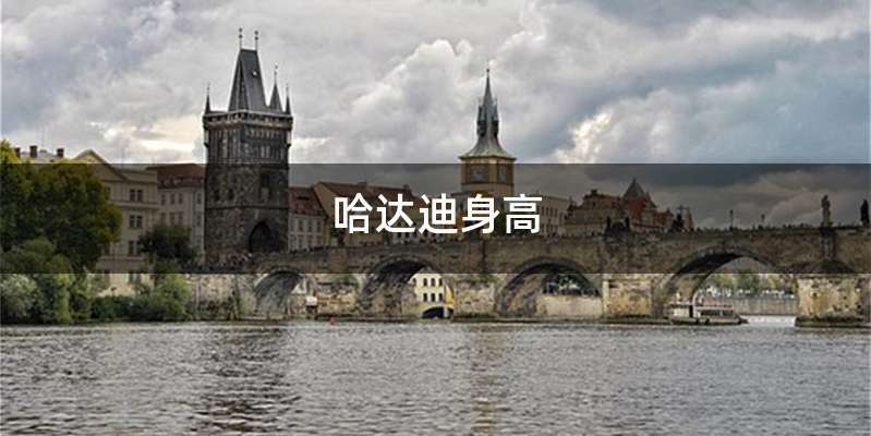 哈达迪身高
