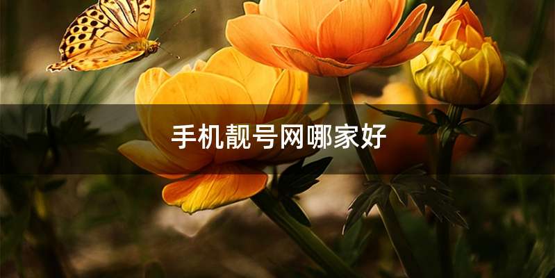 手机靓号网哪家好