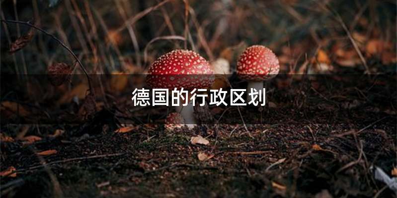 德国的行政区划