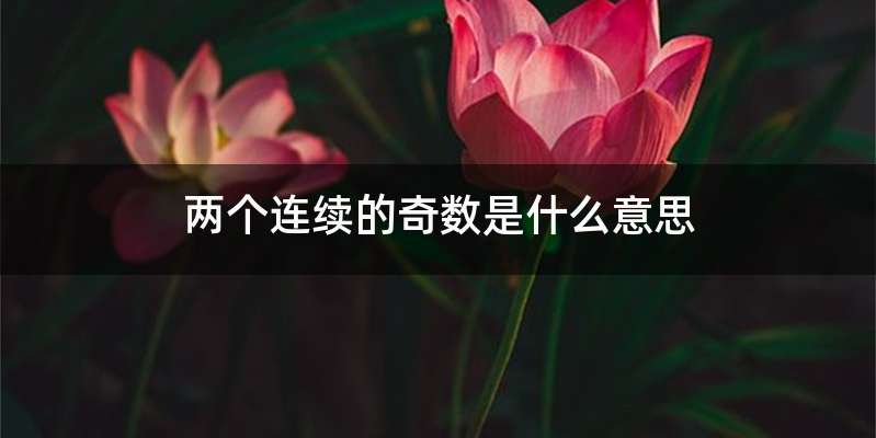两个连续的奇数是什么意思