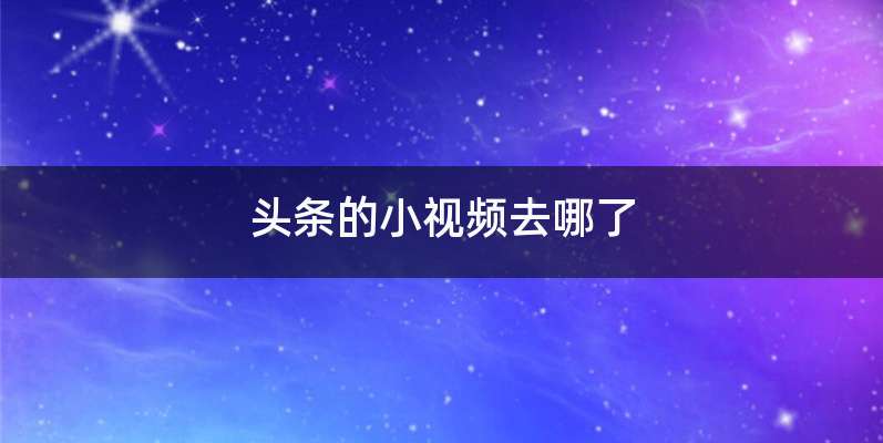 头条的小视频去哪了