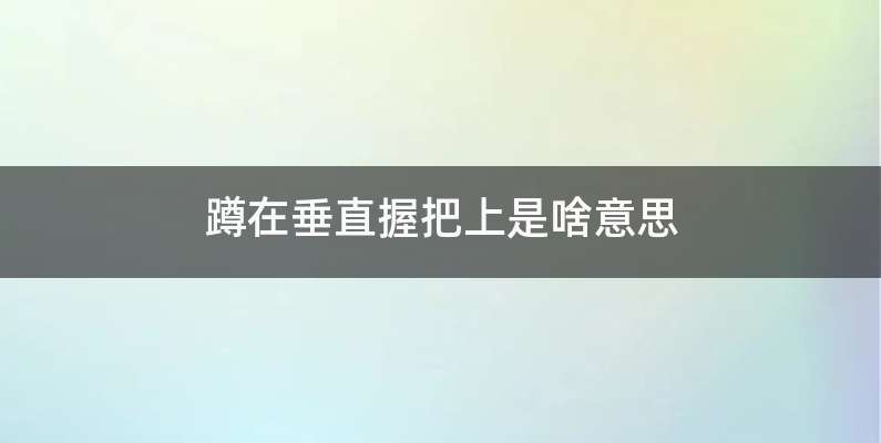 蹲在垂直握把上是啥意思