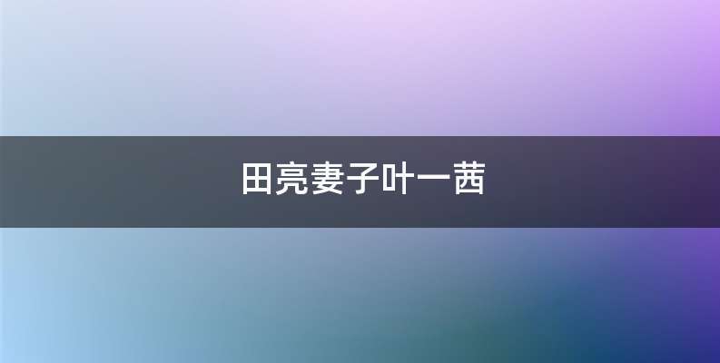 田亮妻子叶一茜