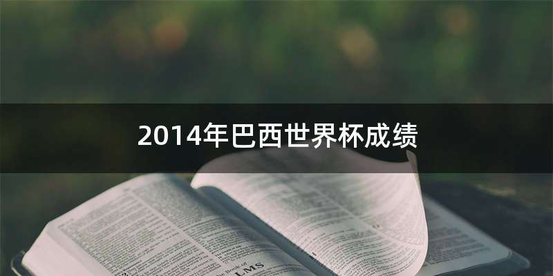 2014年巴西世界杯成绩