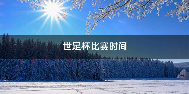 世足杯比赛时间