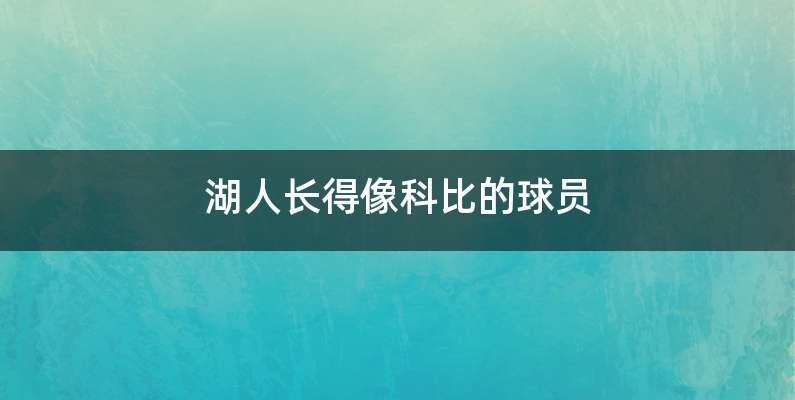 湖人长得像科比的球员