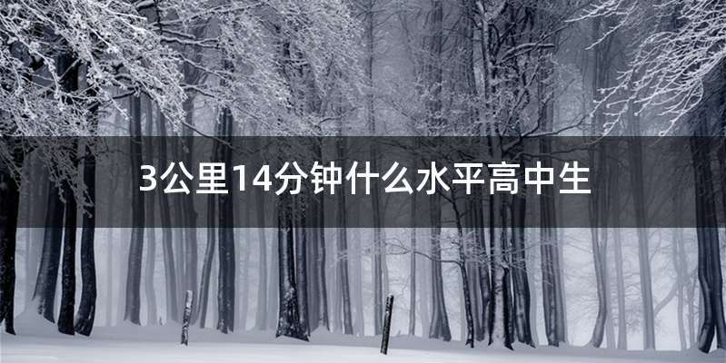 3公里14分钟什么水平高中生