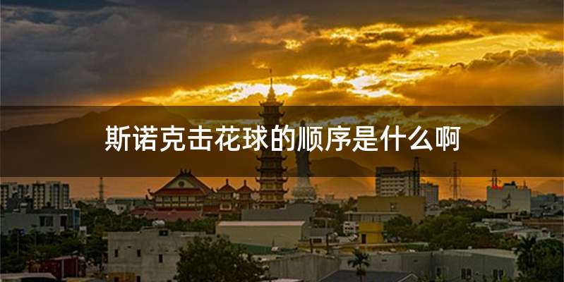 斯诺克击花球的顺序是什么啊