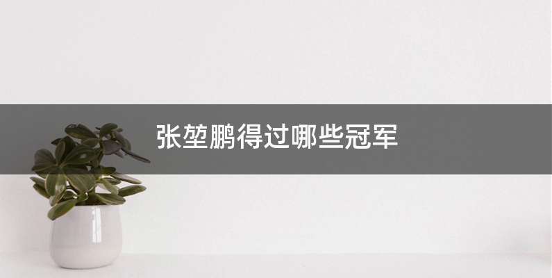 张堃鹏得过哪些冠军