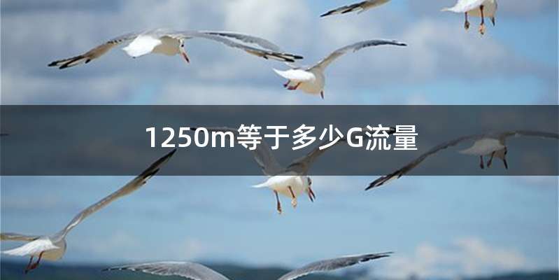 1250m等于多少G流量