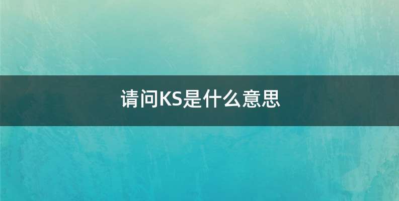请问KS是什么意思