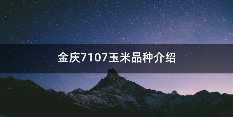 金庆7107玉米品种介绍