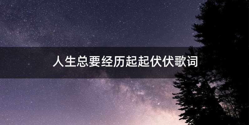 人生总要经历起起伏伏歌词