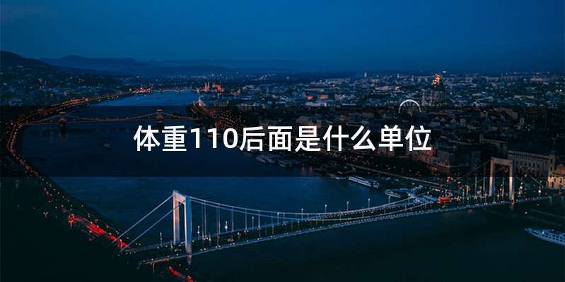 体重110后面是什么单位