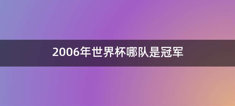 2006年世界杯哪队是冠军