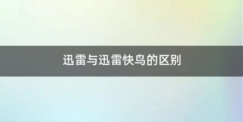 迅雷与迅雷快鸟的区别