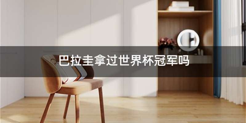 巴拉圭拿过世界杯冠军吗