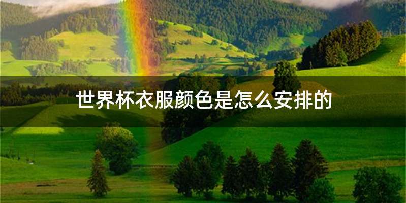 世界杯衣服颜色是怎么安排的