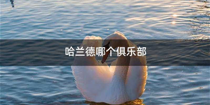 哈兰德哪个俱乐部